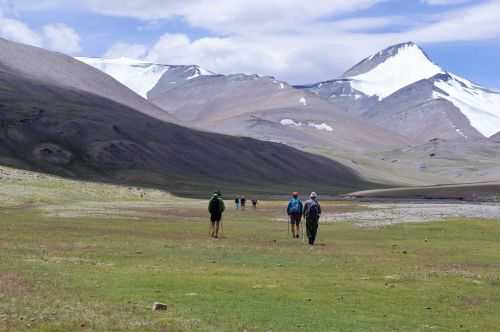 TREKKING IN LADAKH | CHANGTANG 2017